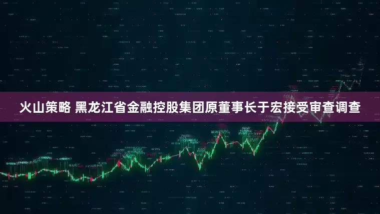 火山策略 黑龙江省金融控股集团原董事长于宏接受审查调查