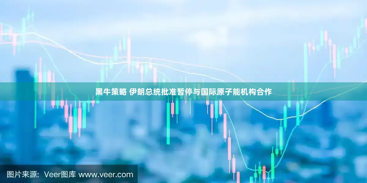 黑牛策略 伊朗总统批准暂停与国际原子能机构合作
