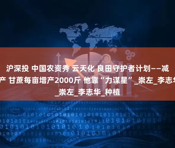 沪深投 中国农资秀 云天化 良田守护者计划——减肥不减产 甘蔗每亩增产2000斤 他靠“力谋星”_崇左_李志华_种植