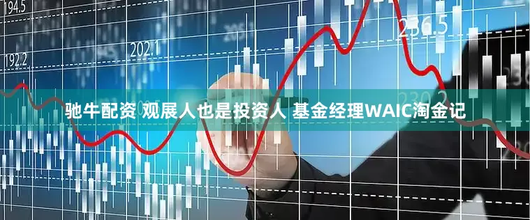 驰牛配资 观展人也是投资人 基金经理WAIC淘金记