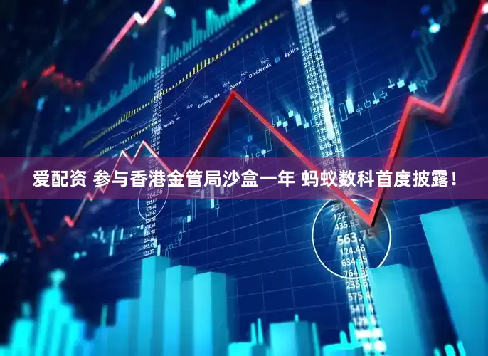 爱配资 参与香港金管局沙盒一年 蚂蚁数科首度披露！