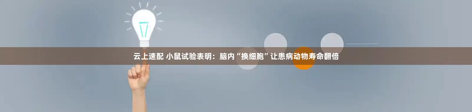 云上速配 小鼠试验表明：脑内“换细胞”让患病动物寿命翻倍