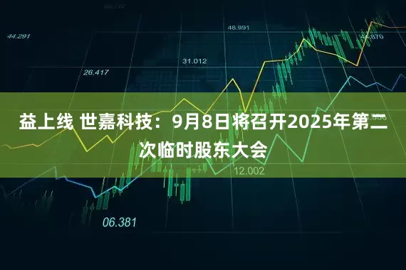 益上线 世嘉科技：9月8日将召开2025年第二次临时股东大会