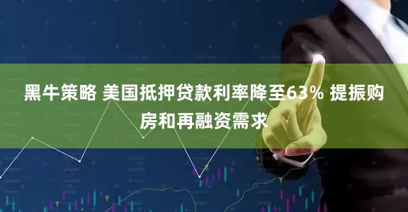 黑牛策略 美国抵押贷款利率降至63% 提振购房和再融资需求